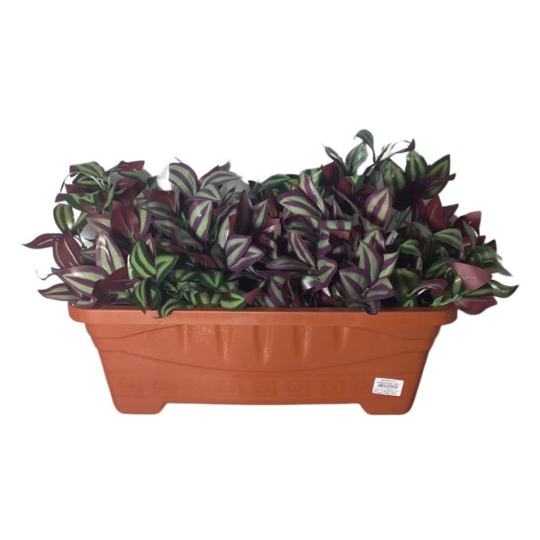 Vaso  Retangular G 7L- Terra Cota