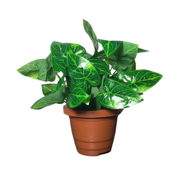 Vaso Redondo Pp 650 Ml - Terra Cota