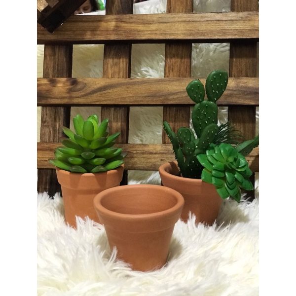 Vaso Suculenta Cru A6 X L7 Cm