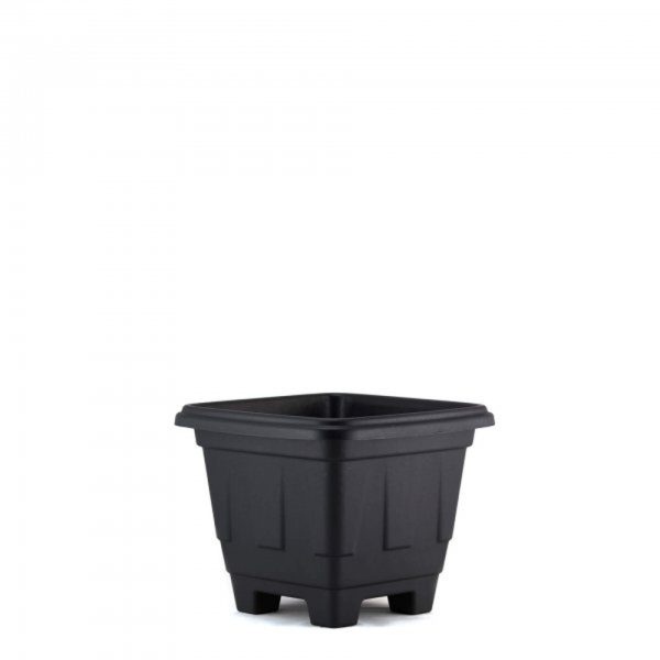 Vaso Quadrado N 1 Preto 7898653550316