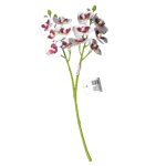 Qx Ht Orquidea x2 30cm 64656 - Imagem 3