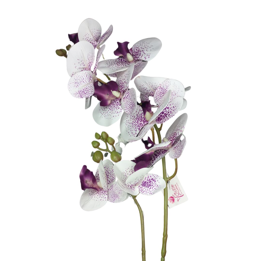 Branca C/Pintas Violeta