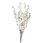 Qx Pessego x5 c 20 ht 80cm 81574