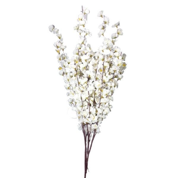 Qx Pessego x5 c 20 ht 80cm 81574