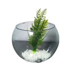 Qx Capim De Aquario 20Cm 91819 - Imagem 5