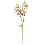 Qx Ht Orquidea x2 30cm 64656 - Imagem 2