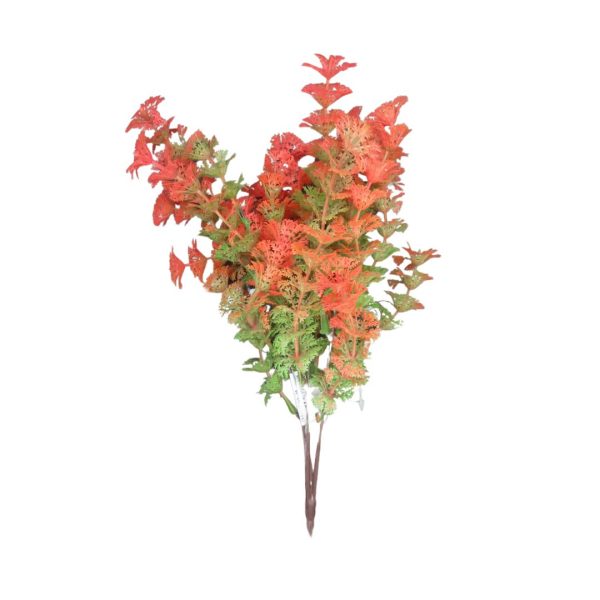 Bq Mini Flor X5 Mg857