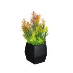 BQ Tuia Holandesa MG2613 - Imagem 6
