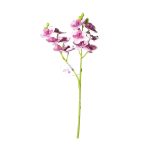 Qx Ht Orquidea x2 30cm 64656