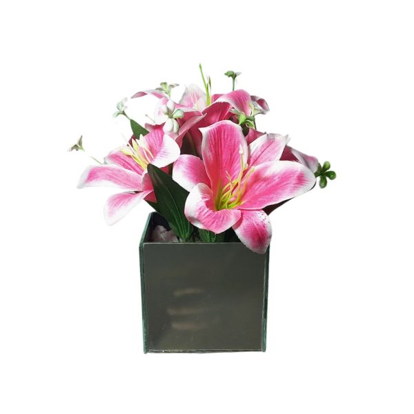 Qx Bq Lirio x5 38cm 63407