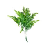 BQ Samambaia MG2616 - Imagem 5