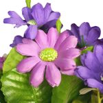 BQ Gerbera MG2645 - Imagem 2