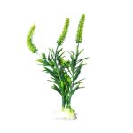 Qx Capim De Aquario 20Cm 91819 - Imagem 3