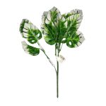 BQ Folhas Persas MG2618 7892017107895 - Imagem 2