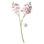 Qx Ht Orquidea x2 30cm 64656 - Imagem 7