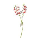 Qx Ht Orquidea x2 30cm 64656 - Imagem 8
