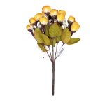 Bq Rosa Rugosa X5 MG443