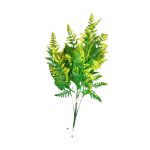 BQ Samambaia MG2616 - Imagem 3