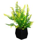 BQ Samambaia MG2616 - Imagem 4