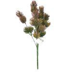 BQ Pinheiro X5 Mg845 - Imagem 2