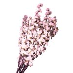 Qx Pessego x5 c 20 ht 80cm 81574 - Imagem 2