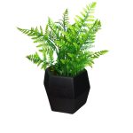 BQ Samambaia MG2616 - Imagem 6