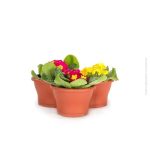 Vaso Trevo Color - Imagem 2