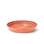 Prato 02 Ceramica - Imagem 3