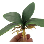 Qx Folha De Orquidea 22Cm 64600