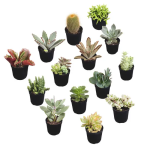 Pote Holambra Np06 Preto - Imagem 4