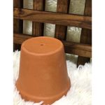 Vaso Violeta Cru A10,5 X B12,5Cm - Imagem 4