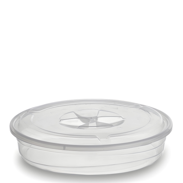 Torteira - Transparente