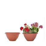 Vaso Parede Peq Terracota 7898653550521