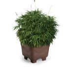 Vaso Quadrado Pequeno - Imagem 4