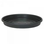 Prato De Vaso Red Md Preto