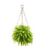 Suporte Suspenso Margarida 02 - 21 Cm Za - Imagem 2