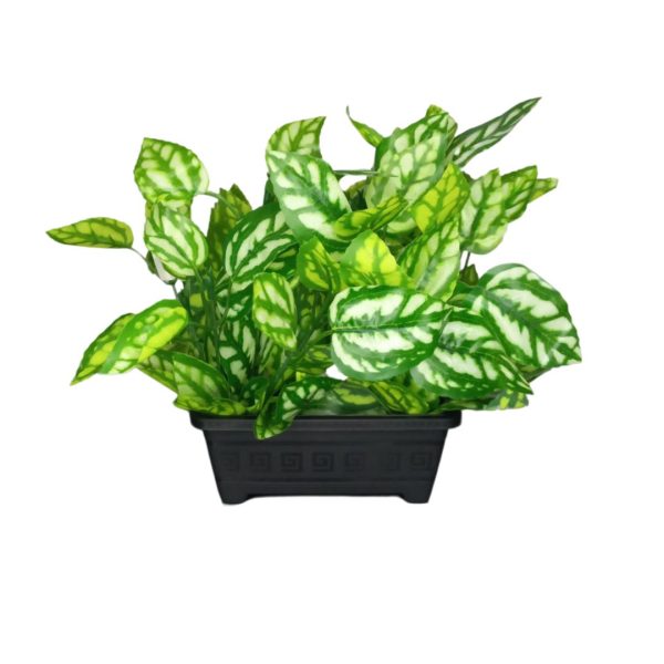 VASO RETANGULAR PP 350 ML - PRETO