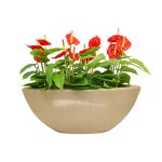 Vibrador Personal Ponto G - Imagem 3