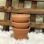 Vaso Mini Cru N4 A7 X D8 Cm - Imagem 4