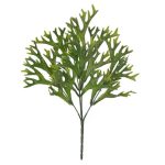 F.Chifre De Veado Plt. X25 (Verde) 33Cm (Florarte)