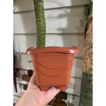 Vaso Para Planta Quadrado Mini Tradicional 0,55 Litros 11cm - Imagem 3