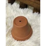 Vaso Suculenta Cru A6 X L7 Cm - Imagem 3