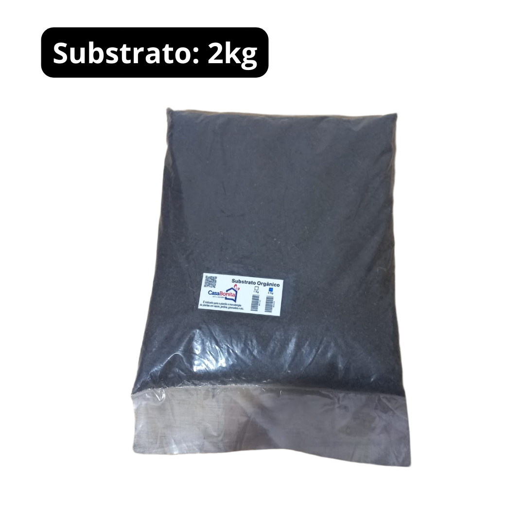 2kg