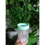 Pote Hermético Para Alimento Com Tampa Rosca 250ml - Imagem 4