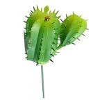 Suculenta Cacto MG2655