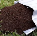 Terra Vegetal 1 Kg - Imagem 2