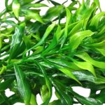 Bq Folhas X5 Flor Artificial Mg888 - Imagem 2