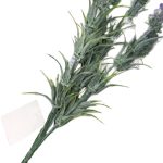 BQ Lavanda MG2626 7892017109509 - Imagem 3