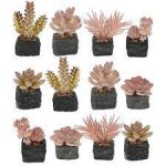 Arranjo Cactos Sortidos X12 Marrom