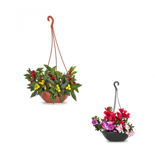 Vaso De Planta Redondo Cuia De Plastico Suspenso Com Alça